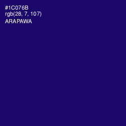 #1C076B - Arapawa Color Image