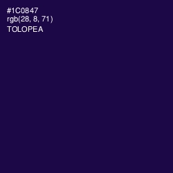 #1C0847 - Tolopea Color Image
