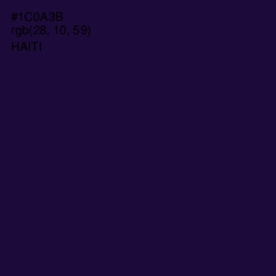 #1C0A3B - Haiti Color Image