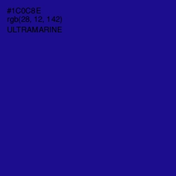 #1C0C8E - Ultramarine Color Image