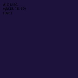 #1C123C - Haiti Color Image