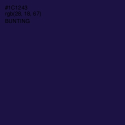 #1C1243 - Bunting Color Image