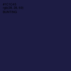 #1C1C45 - Bunting Color Image