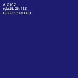 #1C1C71 - Deep Koamaru Color Image