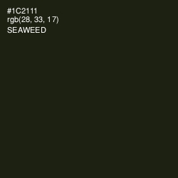 #1C2111 - Seaweed Color Image