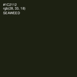 #1C2112 - Seaweed Color Image