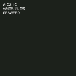 #1C211C - Seaweed Color Image