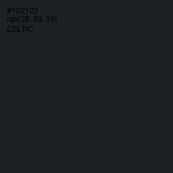 #1C2123 - Celtic Color Image