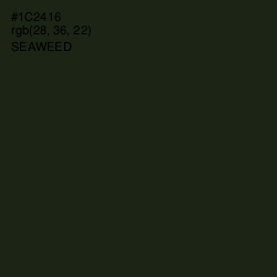 #1C2416 - Seaweed Color Image