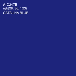 #1C247B - Catalina Blue Color Image