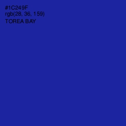 #1C249F - Torea Bay Color Image