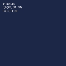 #1C2646 - Big Stone Color Image