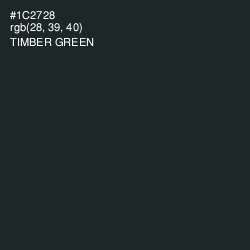 #1C2728 - Timber Green Color Image