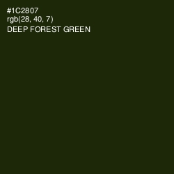 #1C2807 - Deep Forest Green Color Image