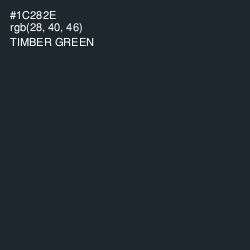 #1C282E - Timber Green Color Image