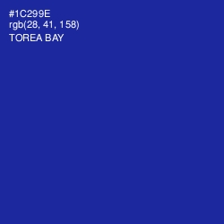 #1C299E - Torea Bay Color Image