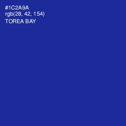 #1C2A9A - Torea Bay Color Image