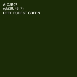 #1C2B07 - Deep Forest Green Color Image