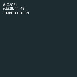 #1C2C31 - Timber Green Color Image