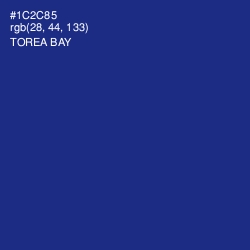 #1C2C85 - Torea Bay Color Image