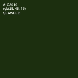 #1C3010 - Seaweed Color Image