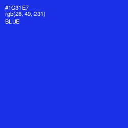 #1C31E7 - Blue Color Image