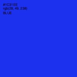 #1C31EE - Blue Color Image