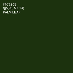 #1C320E - Palm Leaf Color Image