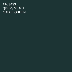 #1C3433 - Gable Green Color Image