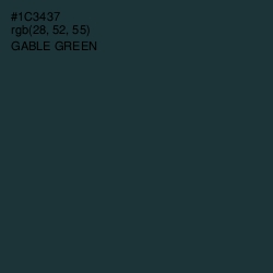 #1C3437 - Gable Green Color Image