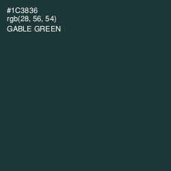 #1C3836 - Gable Green Color Image