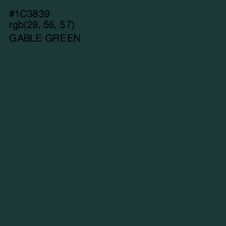 #1C3839 - Gable Green Color Image