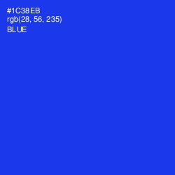 #1C38EB - Blue Color Image