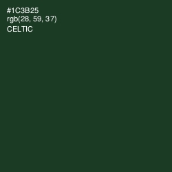#1C3B25 - Celtic Color Image