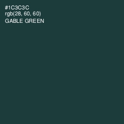 #1C3C3C - Gable Green Color Image