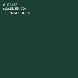 #1C4132 - Te Papa Green Color Image