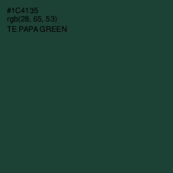 #1C4135 - Te Papa Green Color Image