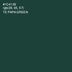 #1C4139 - Te Papa Green Color Image