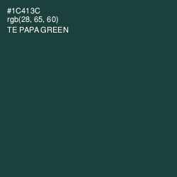 #1C413C - Te Papa Green Color Image