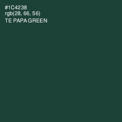 #1C4238 - Te Papa Green Color Image