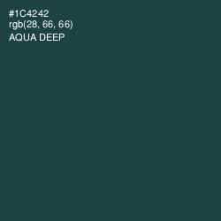#1C4242 - Aqua Deep Color Image