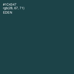 #1C4347 - Eden Color Image