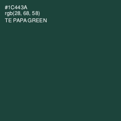 #1C443A - Te Papa Green Color Image