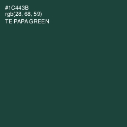 #1C443B - Te Papa Green Color Image