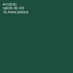 #1C503C - Te Papa Green Color Image