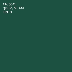 #1C5041 - Eden Color Image