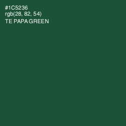 #1C5236 - Te Papa Green Color Image