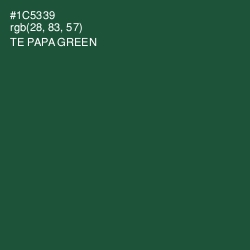 #1C5339 - Te Papa Green Color Image