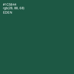 #1C5844 - Eden Color Image