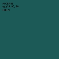 #1C5A58 - Eden Color Image